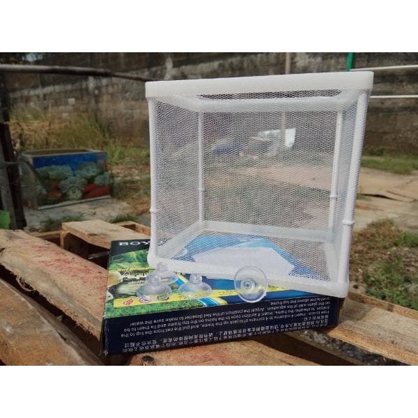 box karantina ikan kecil ( Breeding Nett Karantina )