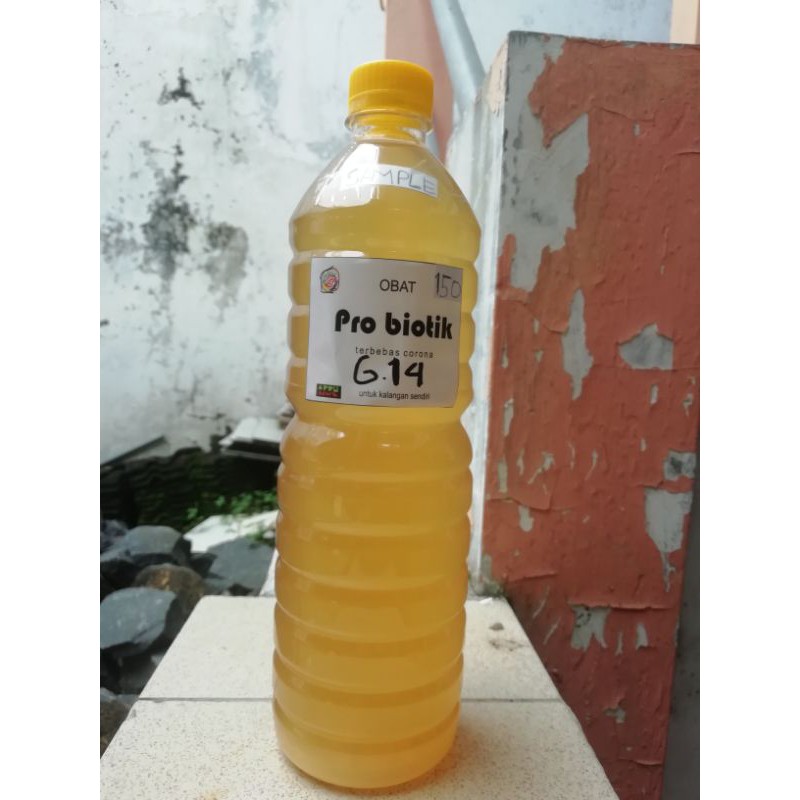 PROBIOTIK B14/G14 prof Sukardi Anti Kanker, Tumor, 1LITER