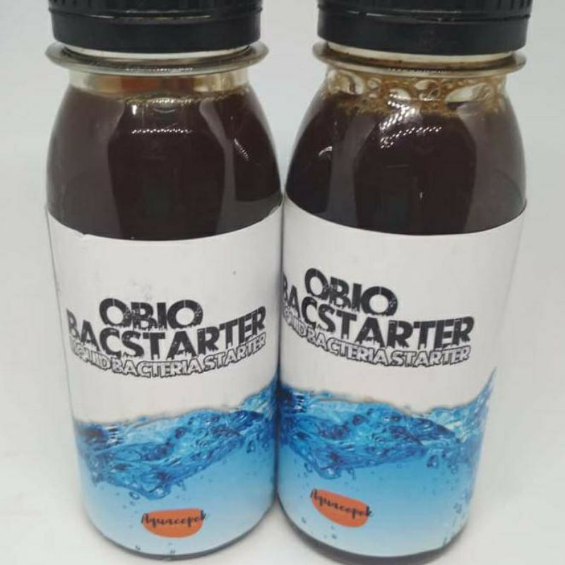 bakteri starter aquascape