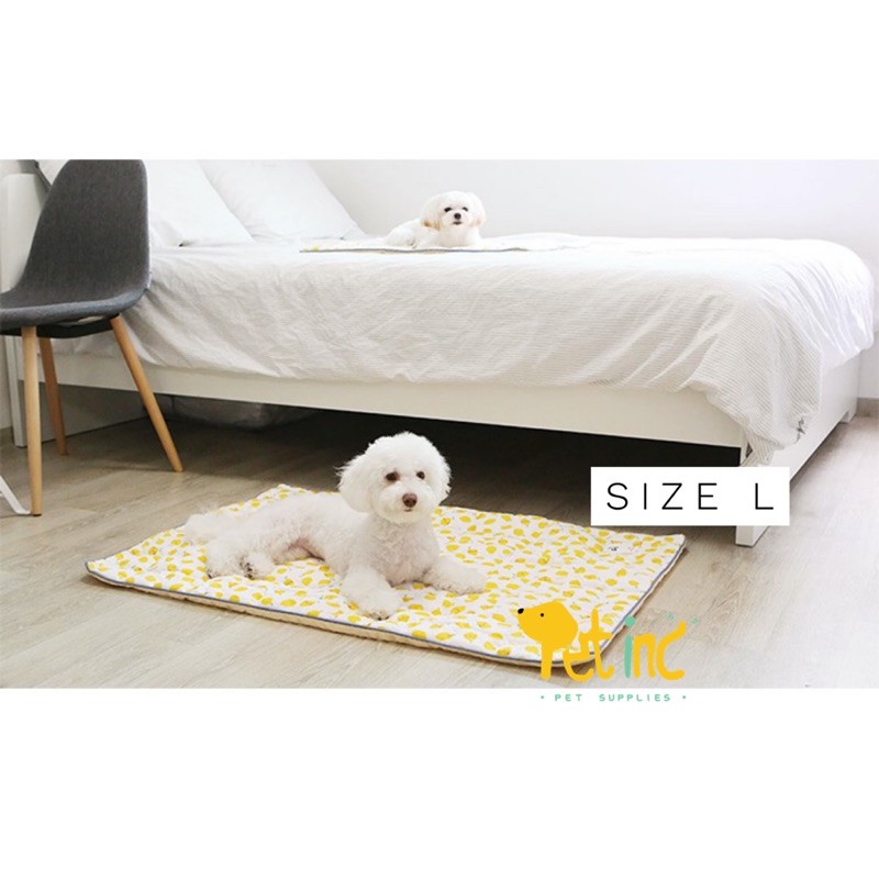 Itsdog cooling mat korea