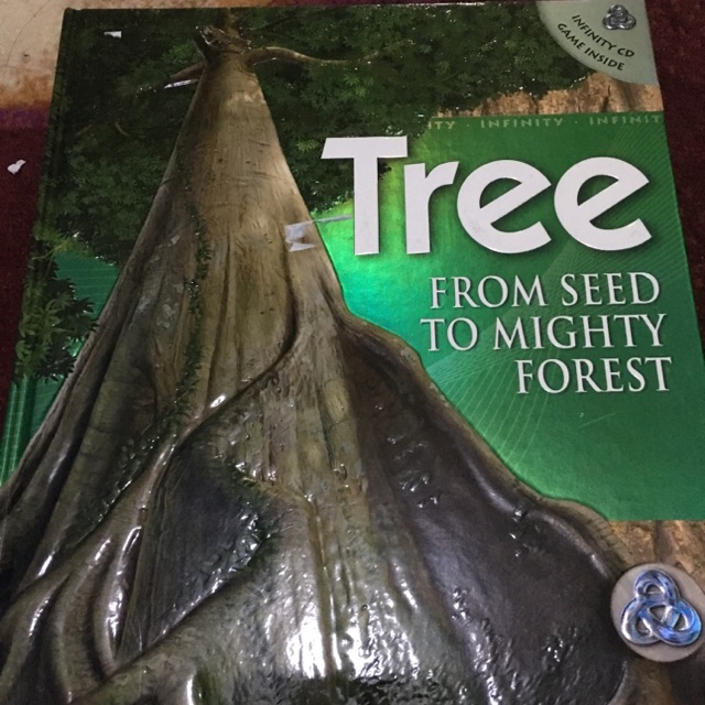 Tree - from seed to mighty forest