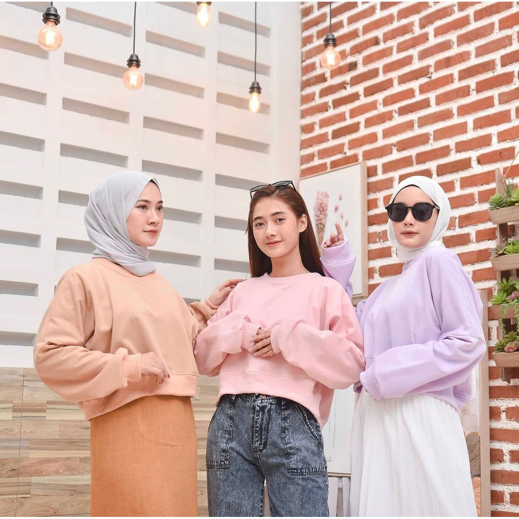 Basic crop sweater atasan wanita