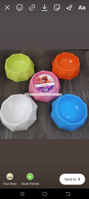 Pet dog bowl /mangkok tempat makan anjing kucing kelinci / dogbowl