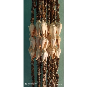 tirai kerang korden kerang