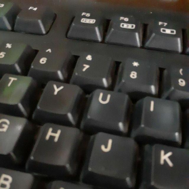 Semir Daun Plus Zpt Ipb 100 Ml Pengkilap Daun Seketika