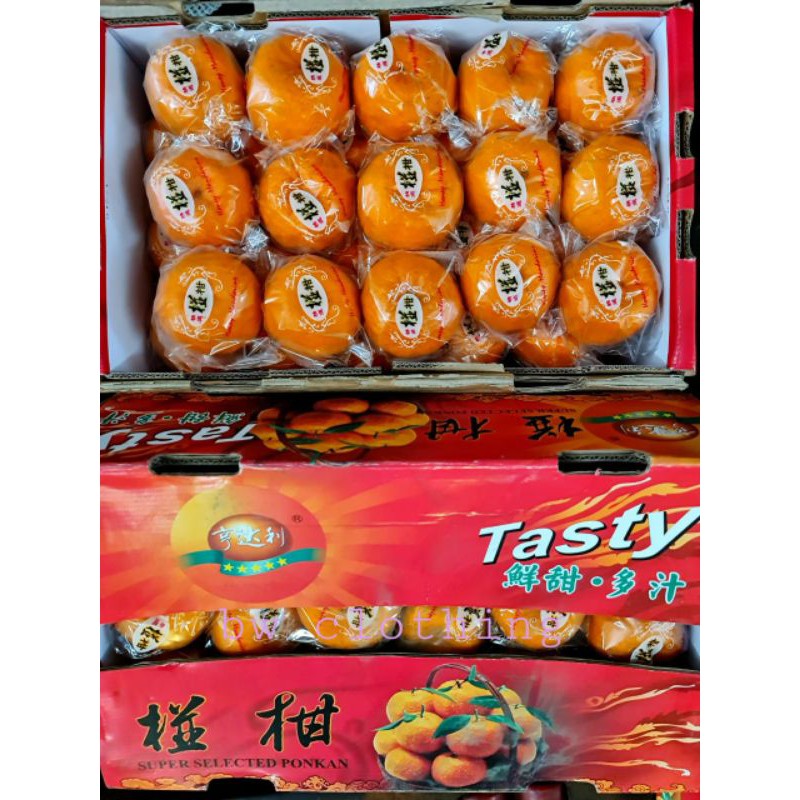 

Jeruk Ponkan Tasty Imlek isi 30 pcs