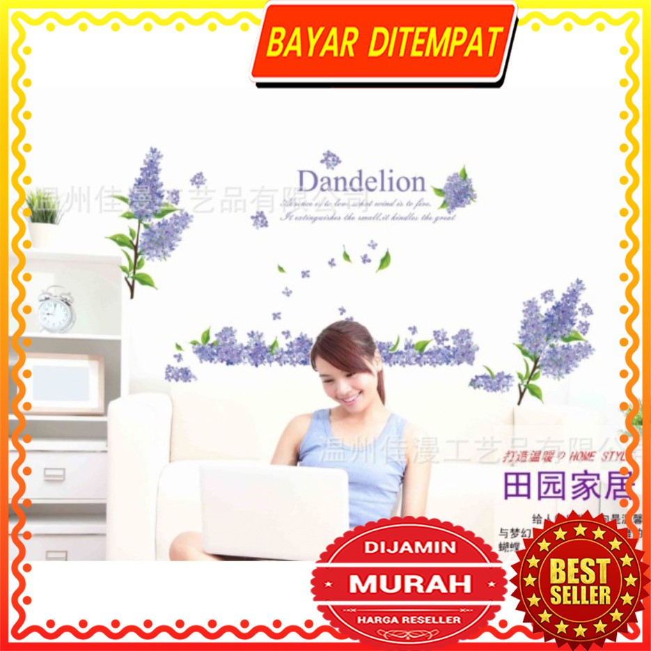 Dinding Stiker Transparan / Wall Sticker / (60x90cm) B17 TKM