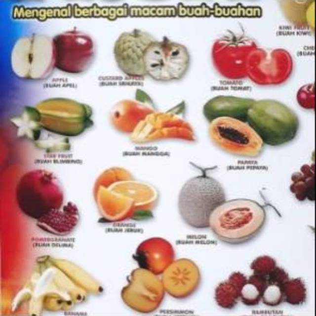 Poster Edukasi Buah-buahan / Fruits - Poster Buah