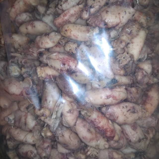 

Cumi asin Baby ukuran 2-3 cm ISI 250 GR