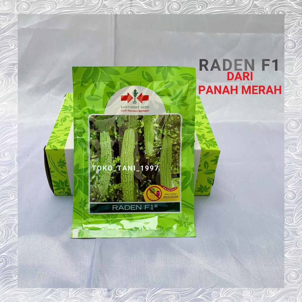 Benih Pare-Pare RADEN F1 Panah Merah