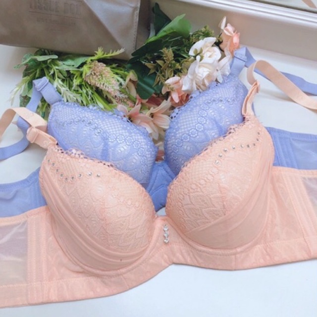 Bra (K-C29) Pakaian dalam wanita dewasa / warna soft / berkawat dan busa normal