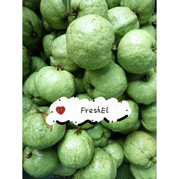 

FreshEl - JAMBU KRISTAL / JAMBU CHRISTAL / JAMBU NON BIJI 1KG