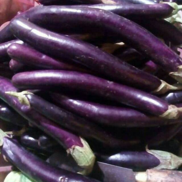 

Terong/500gr khusus gosend