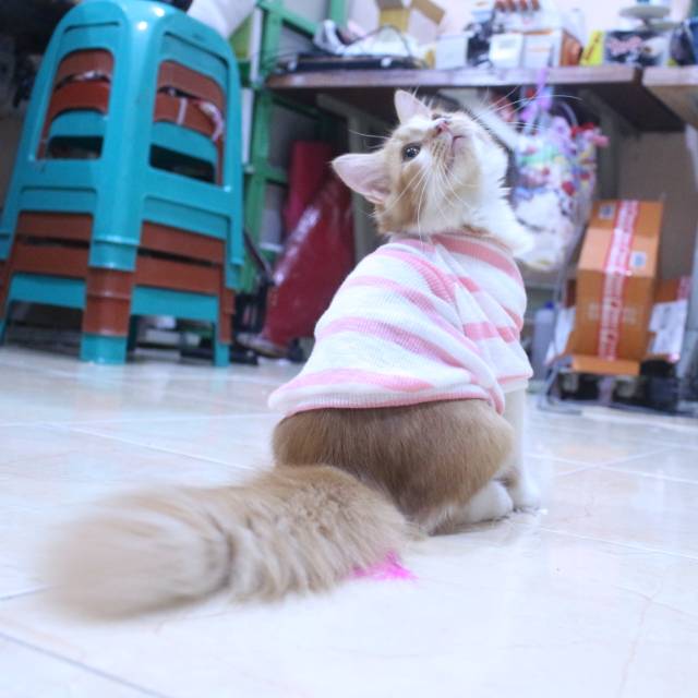 Baju rajut strip putih pink lucu untuk kucing dan anjing / baju kucing murah size S M L XL