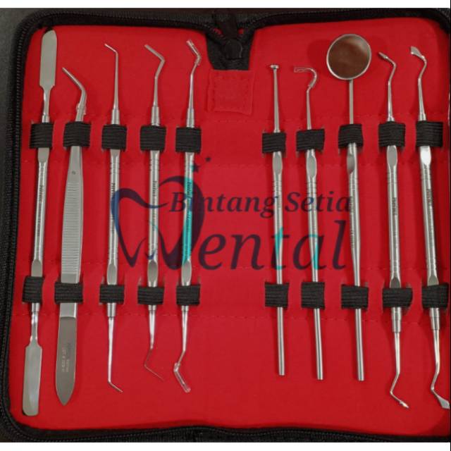 Diagnostik Set / OD Set / Basis Dental Instrument Set