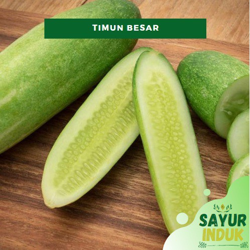 

Sayur Induk - Timun Besar Lokal 500 Gram Fresh Grade A Mentimun Cucumber