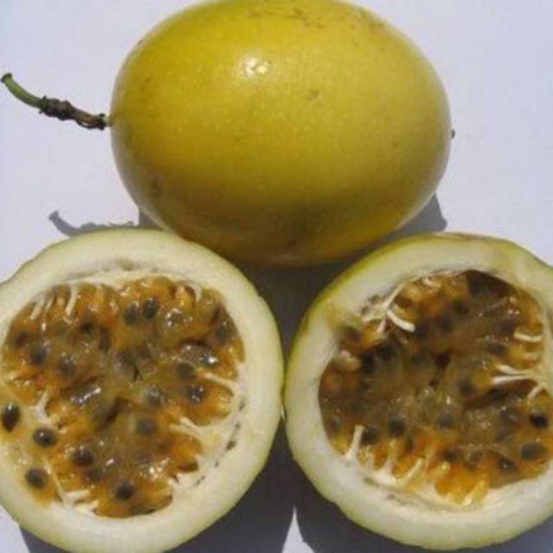 

Buah Markisa Segar Markisa Kuning 1Kg Murah