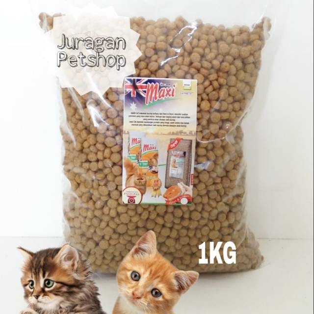 MAXI 1KG | Makanan Kering Kucing Adult/Kitten Murah | Maxi 1 KG Termurah