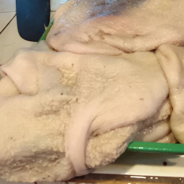 

Babat Putih ( sapi )