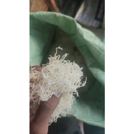 

Rumput Laut Kering Kawat 30kg (1 Karung)