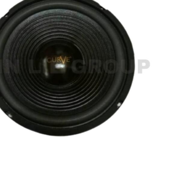 ♞ SPEAKER CURVE WOOFER 10 INCH 300 WATT ✰