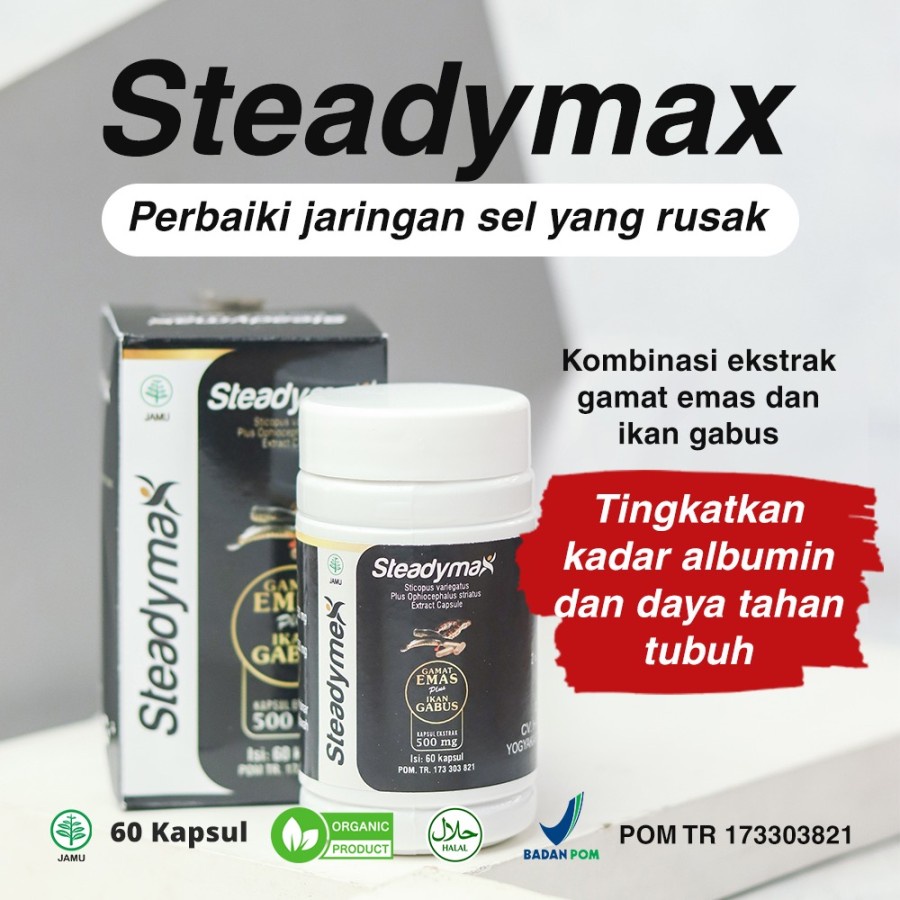 Gamat Emas Kapsul STEADYMAX Gamat Emas dan Ekstrak Ikan Gabus 60kp