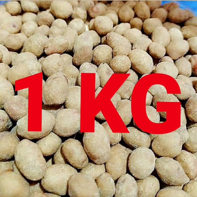 

MURAH! 1 KG KACANG TELUR