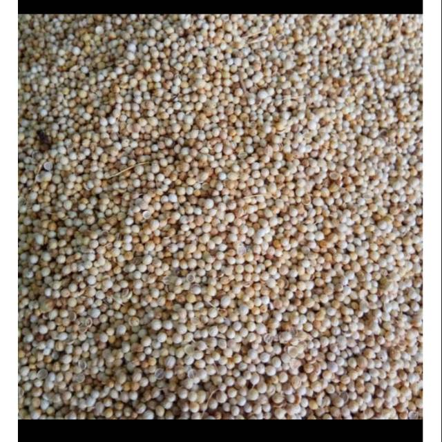 

Ketumbar 500g