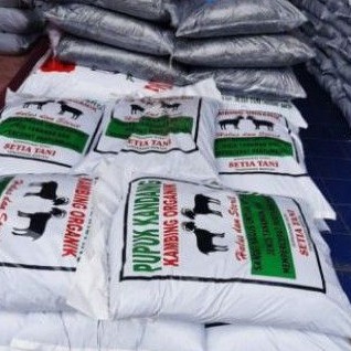 pupuk kandang kambing organik