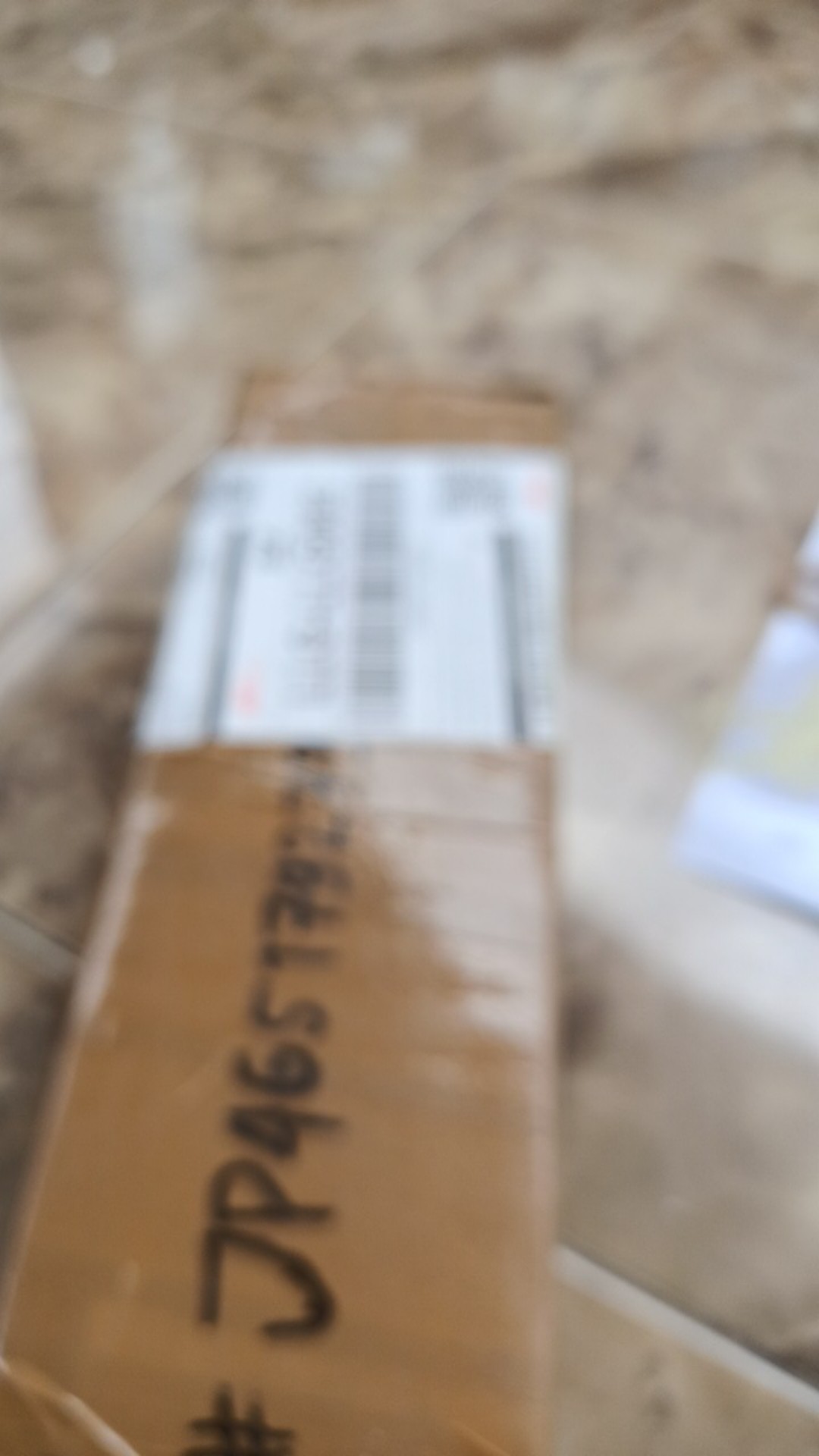 Promo!!! Bonggol Aglonema Golden Hope