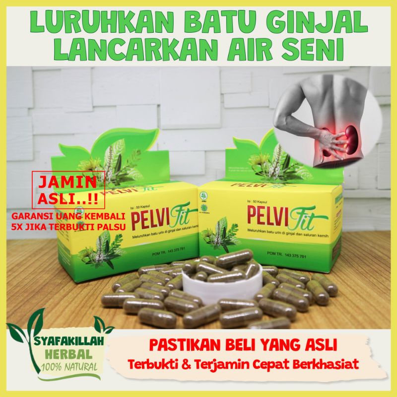 [ASLI] PELVIFIT, Obat Batu Ginjal, Kencing Batu, Batu Empedu