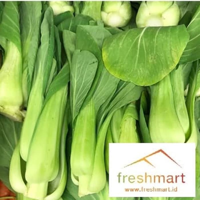 

Baby Pak Choy atau Bok Choy 500 gram - FreshMart
