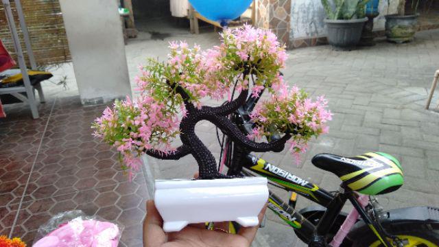 [1kg 11pcs] Pot Tanaman Vas Bunga Varian Pt01-pt04 Dekorasi Rumah Tanaman Plastik Hias Import
