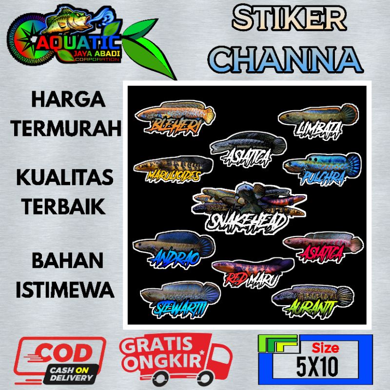 

Stiker Ikan Channa Termurah