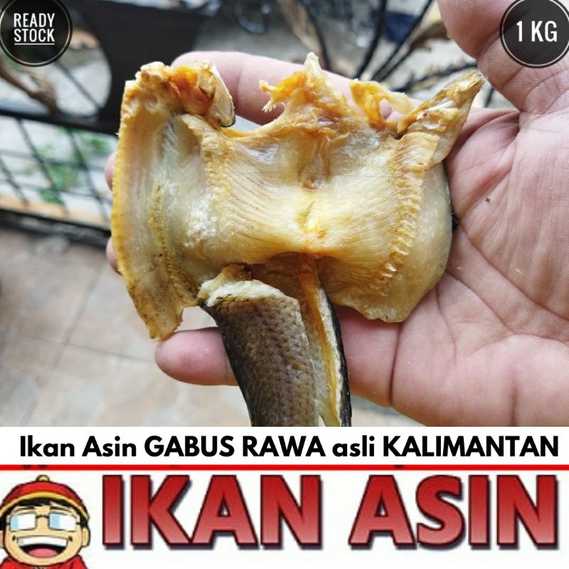 Jual Ikan Asin Gabus Haruan 1 Kg Cap Toke Bagan Siapi Api Shopee Indonesia