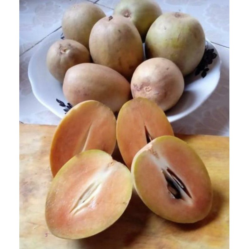 

Buah Sawo
