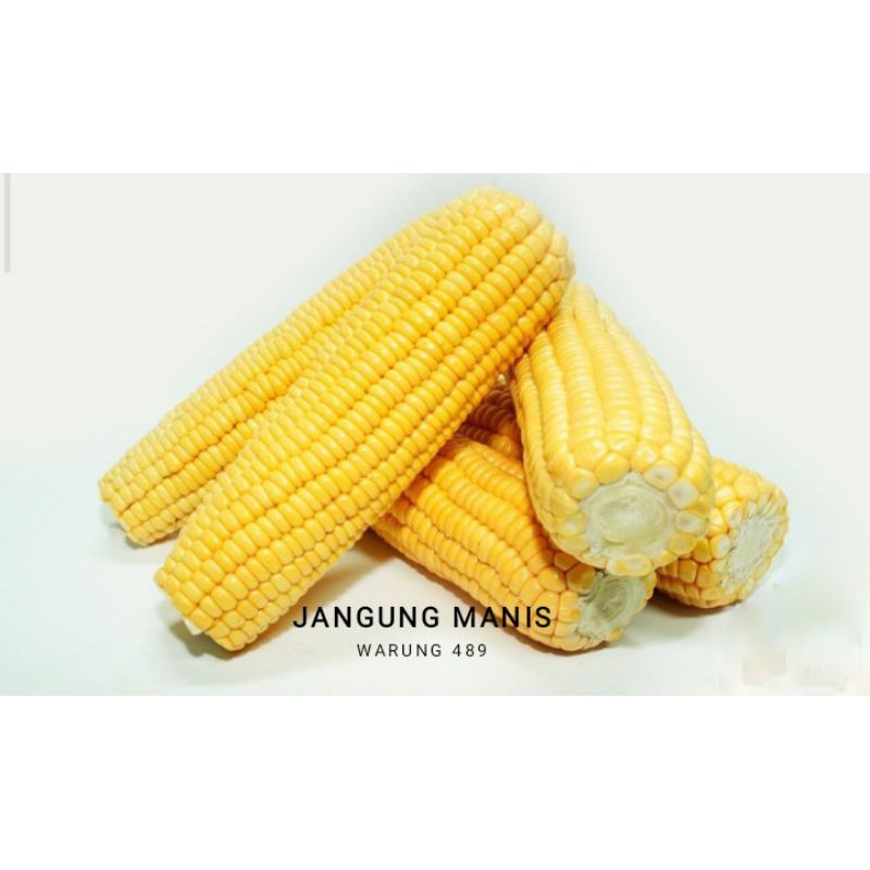 

JANGUNG MANIS 500gram