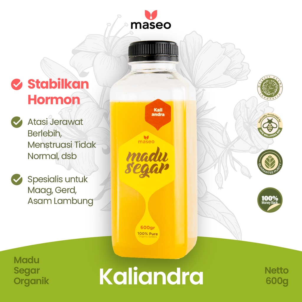 

Madu Asli Kaliandra Maseo 600gr Madu Murni Segar Organik Stabilkan Hormon Obat Herbal Asam Lambung Maag Gerd Kronis Jerawat Berlebih