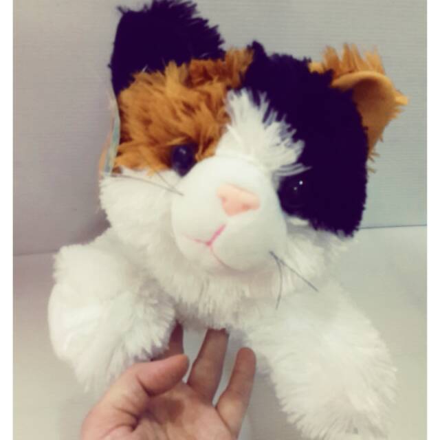 Boneka Kucing Esmeralda