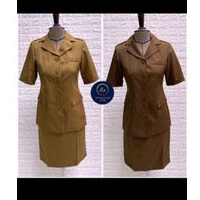 baju asn seragam pns pdh pemda dinas pdh guru kantor wanita coklat pendek tangan