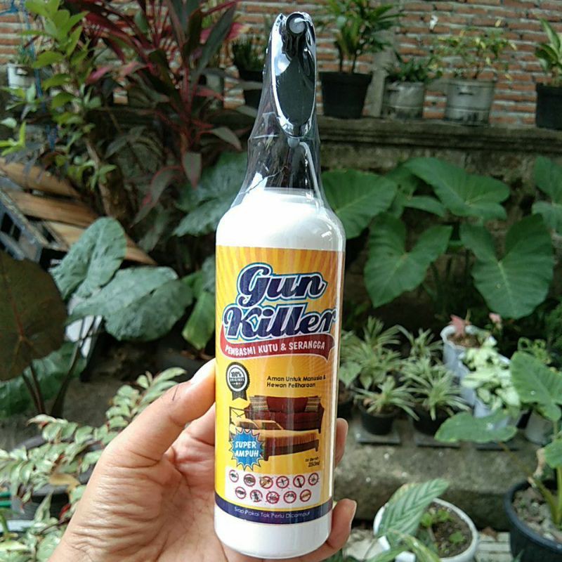 OBAT KUTU KASUR OBAT KUTU SOFA BASMI KUTU TUNGAU TINGGI IMPORT