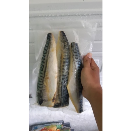 

ikan mackarel fillet / mackarel fillet / makarel frozen