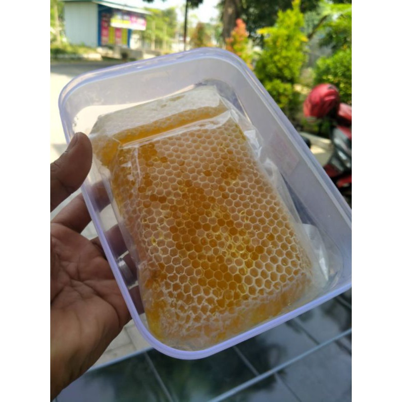 

sarang madu 500gram/sarang madu melifera