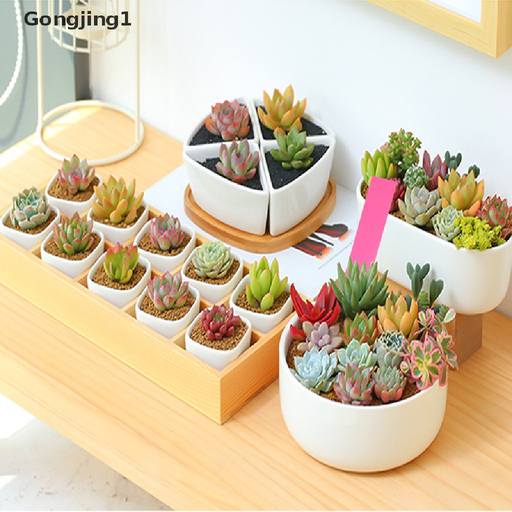 Gongjing1 50pcs Label Penanda Pot Tanaman Bahan Plastik