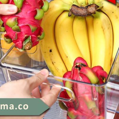 ✲ SOJIA - Tempat Penyimpanan Makanan Kontainer Box Kulkas Akrilik BESAR ☪