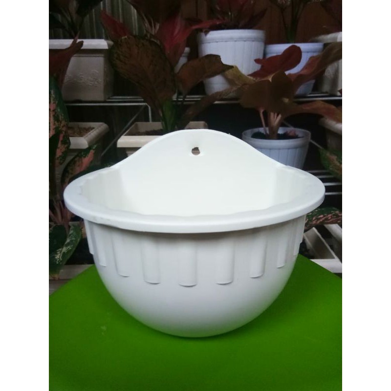 POT PUTIH TB TEMPEL DINDING BUNGA TANAMAN HIAS/RAMBAT