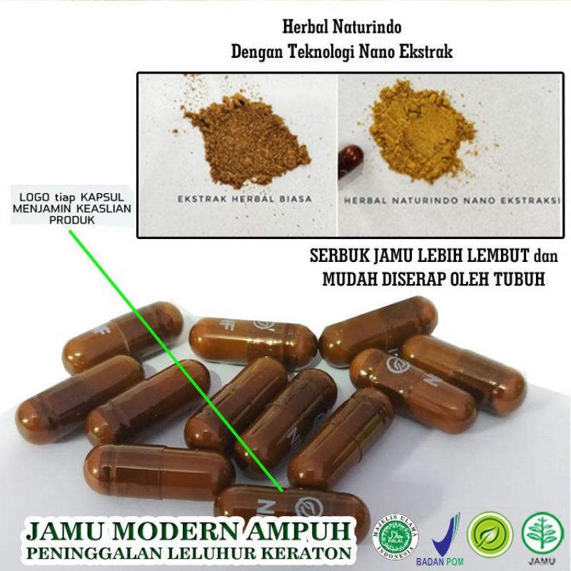 OBAT ASAM LAMBUNG MAAG  lambung kronis nyeri lambung masalah lambung DAN PENCERNAAN BPOM MUI ISI 40 KAPSUL-1
