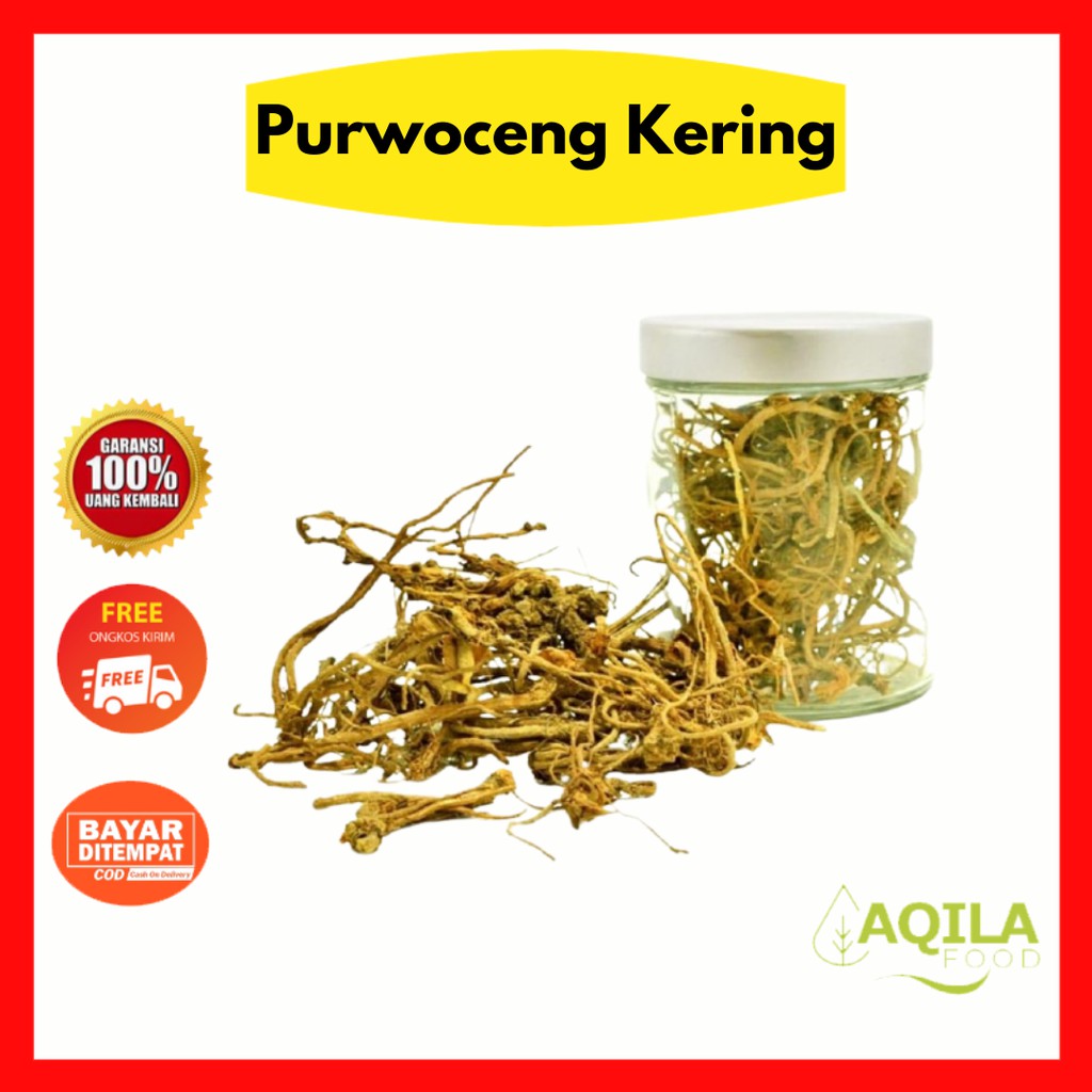 

Akar Purwacengg / Purwoceeng Kering