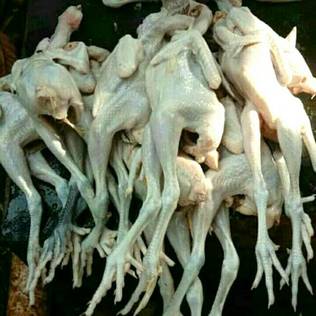 

Ayam kampung potong isi 3ekor