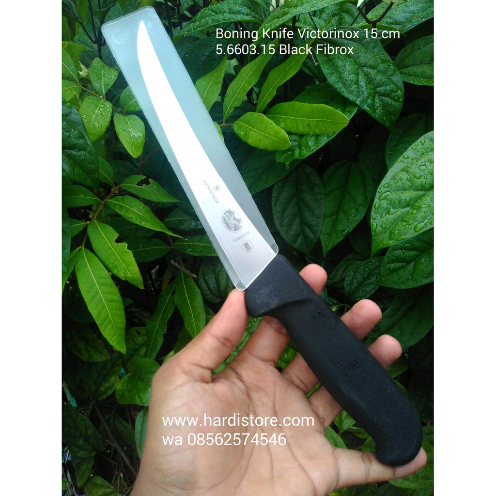 Pisau Boning Victorinox Handle Biasa 15 Cm Terbaik